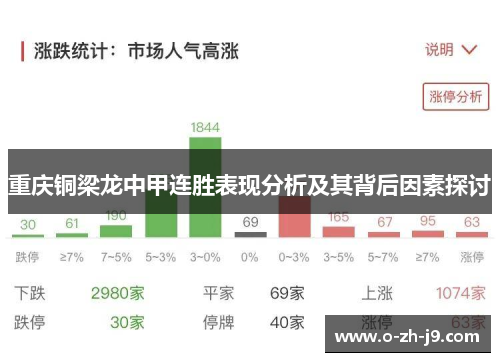 重庆铜梁龙中甲连胜表现分析及其背后因素探讨 重庆铜梁龙中甲连胜表现分析及其背后因素探讨