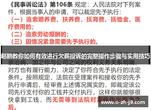 赵鹏教你如何有效进行欠薪投诉的完整操作步骤与实用技巧